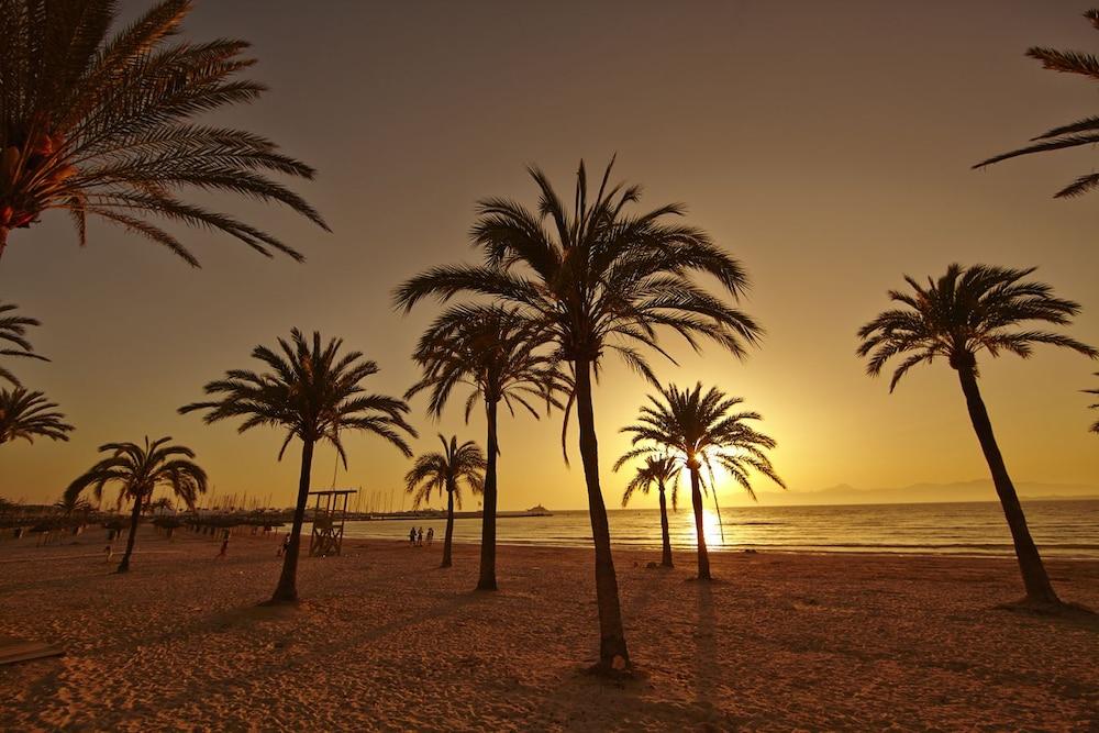 Sahara Nubia Gobi Hotel Ses Cadenes Exterior foto Palm trees on the beach at sunset